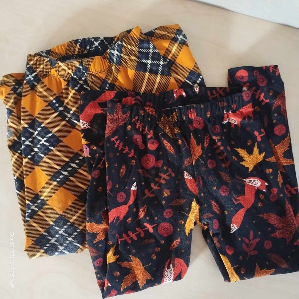 Sweet legs fall colors size 2-4T girls plaid and foxes GUC